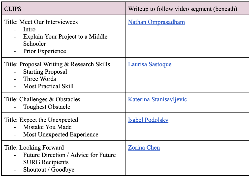 a six row table with two columns: (1) Clips and (2) Writeup to follow video segment 